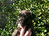 Don Diego. Cabeza Cachorro