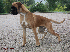 Saja, 8 months