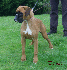 donna 6 meses y medio 002