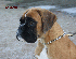 Donna, 3 meses y medio